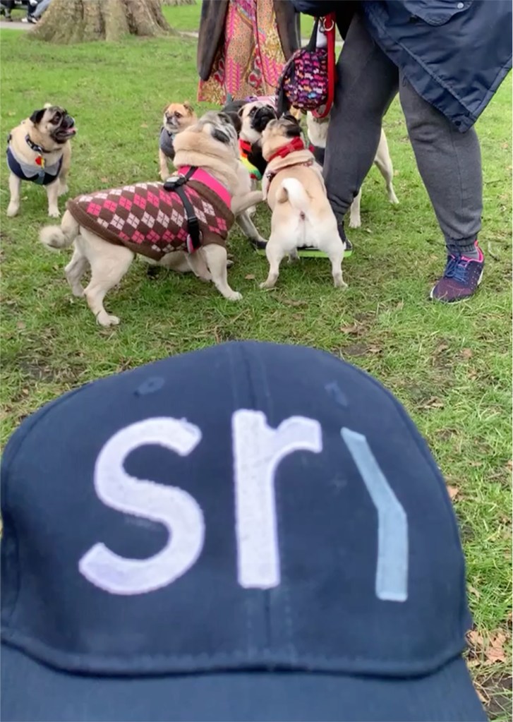 Person wearing a Smartroom-branded cap with dogs playing in the background, showing the friendly and approachable side of self storage in London.